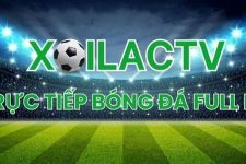 xoilactv kênh phát sóng bóng đá thể thao trực tuyến